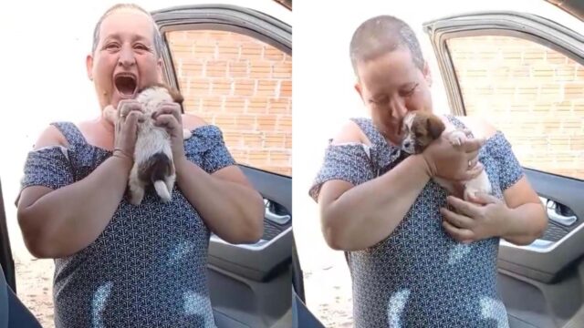 La donna riceve in regalo un cucciolo di cane dopo la morte del suo anziano amico canino