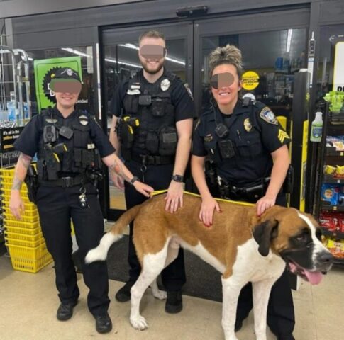 cane e poliziotti