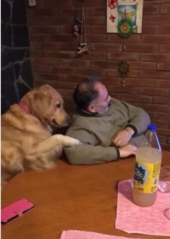 Cane cerca attenzioni dal suo papà adottivo (VIDEO)
