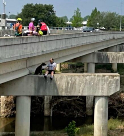 Moriah, la cagnolona abbandonata su una trave di supporto di un ponte