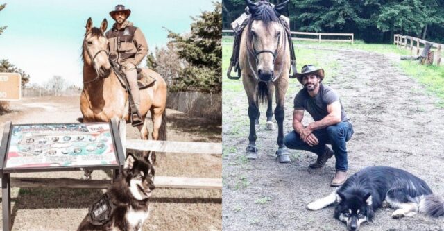 uomo cane e cavallo