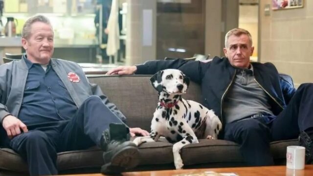 Tuesday, il Dalmata attrice di Chicago Fire, è volata sul ponte arcobaleno