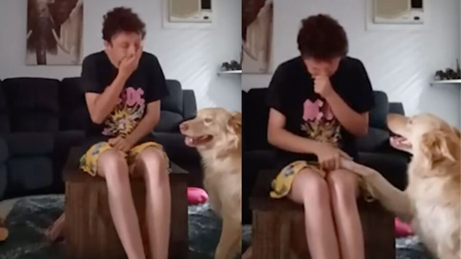 Donna con attacco di panico aiutata dal cane