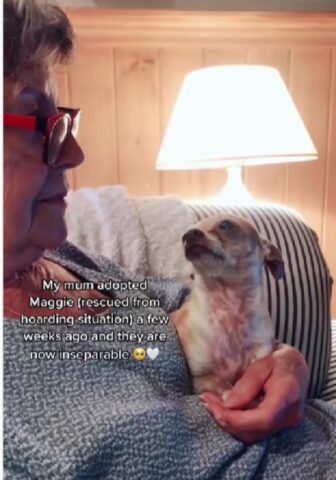 Cane che guarda la sua mamma adottiva con tanto amore (VIDEO)