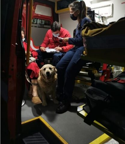 un cane con dei paramedici