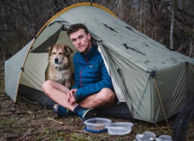 Savannah, il cane giramondo in viaggio insieme al padrone dopo essere stata adottata