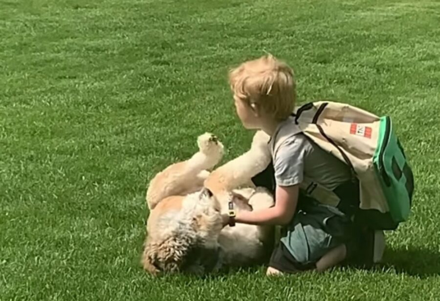 padroncino coccola il suo cane