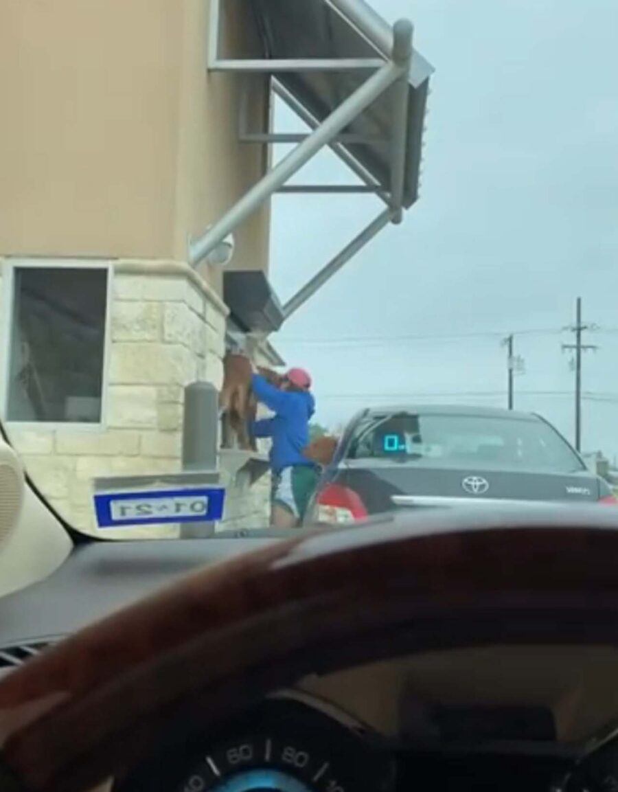 cane in fila per il pappuccino