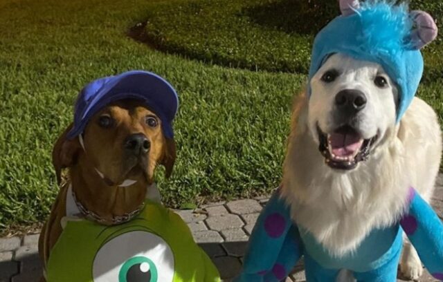 I due cagnoloni festeggiano Halloween travestiti da cartone animato Pixar (VIDEO)