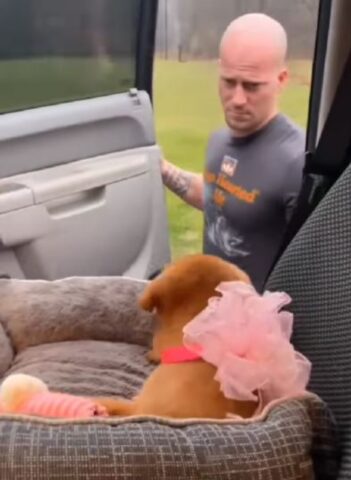 Cucciola di cane in regalo ad un uomo che scoppia in lacrime (VIDEO)