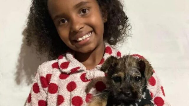 Bambina esce per comprare il latte e torna con un cucciolo di cane tra le sua braccia (VIDEO)