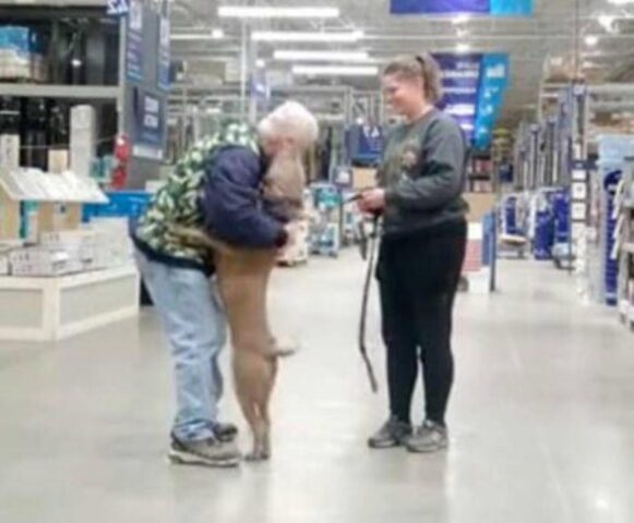 Dolce cagnolone non riesce a trattenere la sua gioia quando capisce di avere una nuova famiglia (VIDEO)