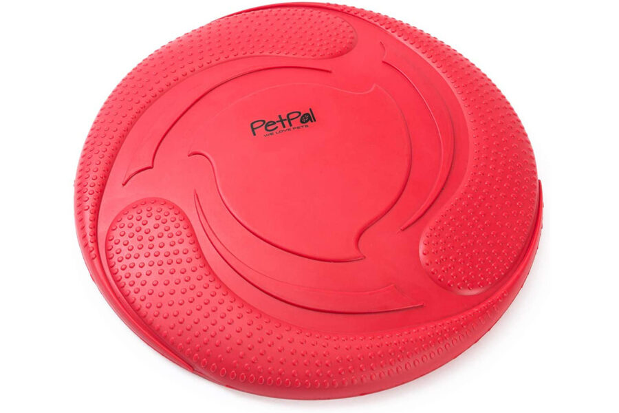 frisbee fra giochi acquatici per i cani