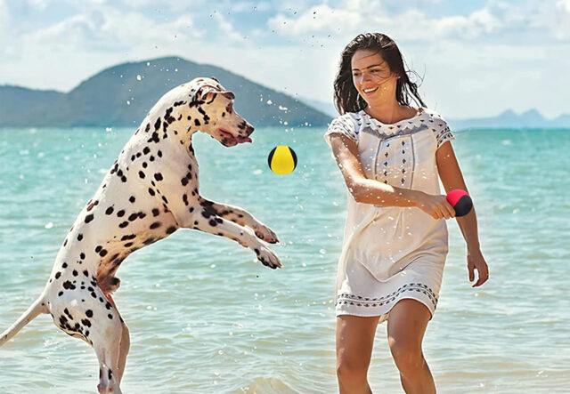 5 giochi acquatici per i cani, Fido avrà un’estate divertentissima