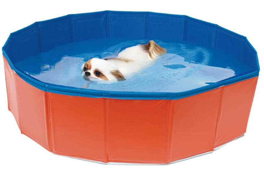 giochi acquatici per i cuccioli di cane in piscina