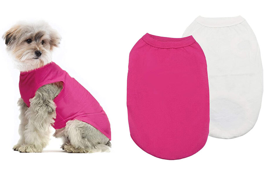 maglie estive per non far soffrire il caldo ai cani con alte temperature