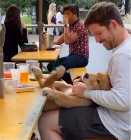 Il cagnolino ama le coccole e batte i piedi quando il padrone gli gratta la pancia (VIDEO)