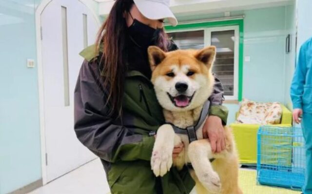 Lucky, il simbolo di speranza salvato dall’orrore del mercato di Yulin
