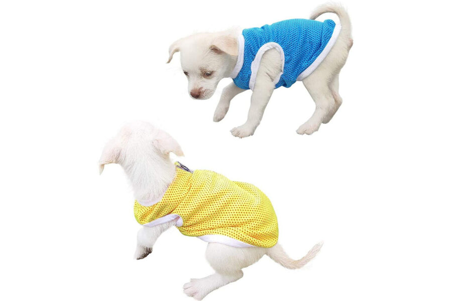 vestiti estivi per i cuccioli di cane bianchi