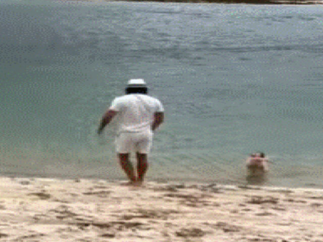 Cucciolo trascorre un giorno al mare: il video è virale
