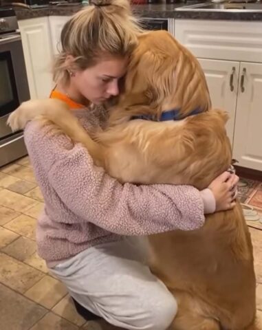 Il Golden Retriever è molto triste e cerca conforto abbracciando la sua padrona (VIDEO)