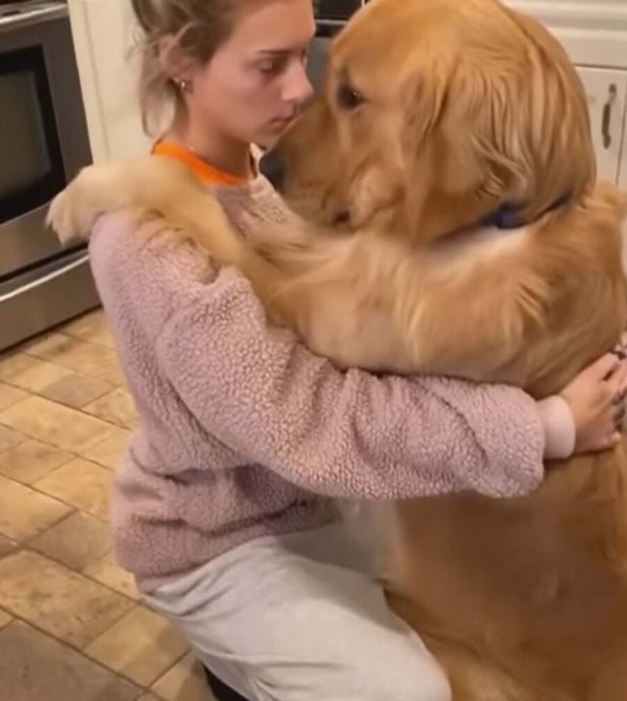 cane cerca conforto nella padrona