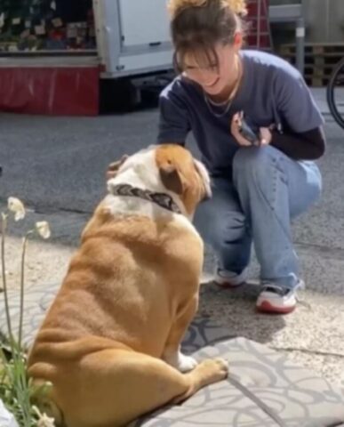 Un cane seduto di fronte ad un negozio, attira i clienti (VIDEO)