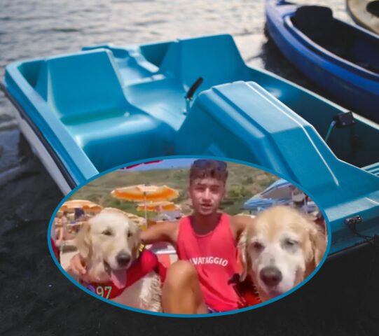 Pedalò affonda: intervengono due Golden Retriever e salvano 5 persone