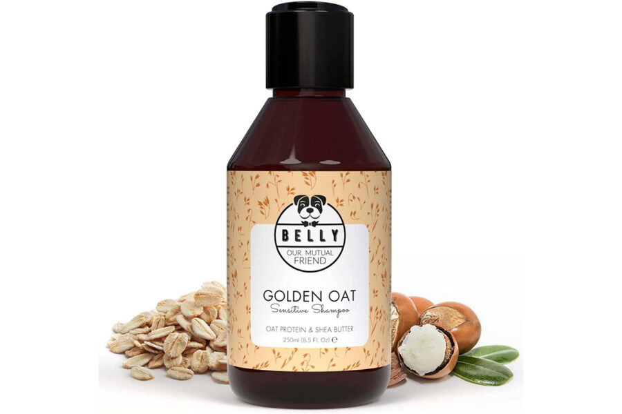 shampoo fra i prodotti per la cura del cane Golden Bassotto