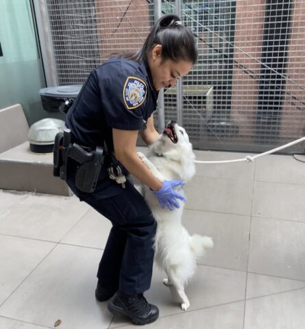 Cane lasciato dentro l’auto bollente, viene adottato dalla poliziotta che lo ha salvato