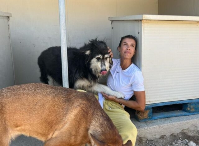 Elisabetta Canalis in visita al canile di Olbia per sensibilizzare sul tema abbandoni