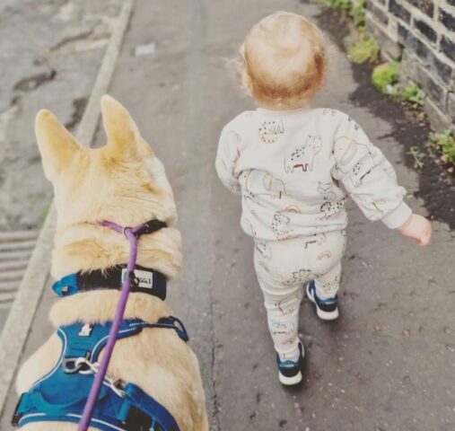 Jaxon, il cane che ogni notte controlla il suo padroncino