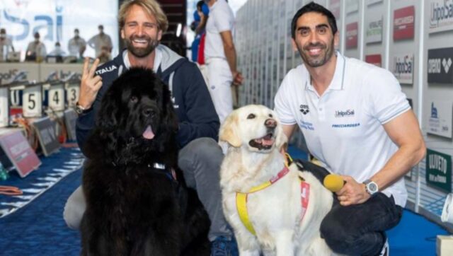 Lea e Gastone, i cani da salvataggio scelti per gli Europei di Nuoto