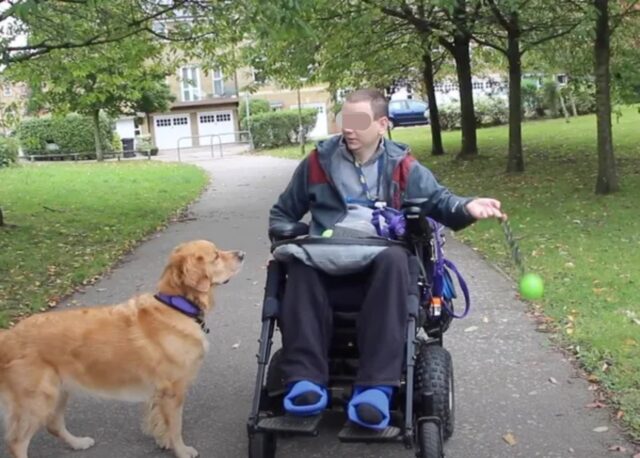 Ralph, il cane che ha cambiato la vita al suo umano