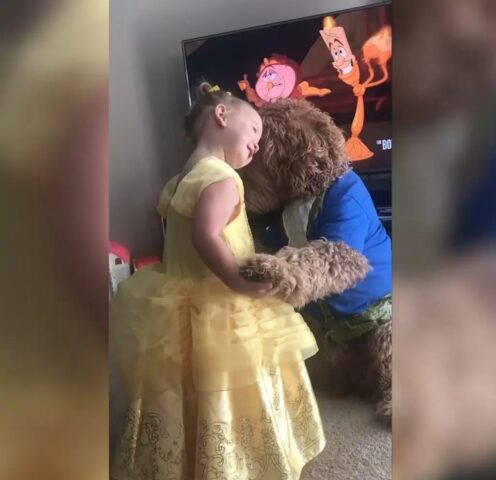 Rudy, il cagnolone che ha reso felice la sua padroncina