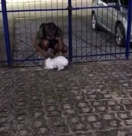 Cagnolina fa le feste al fidanzato della sua mamma adottiva (VIDEO)