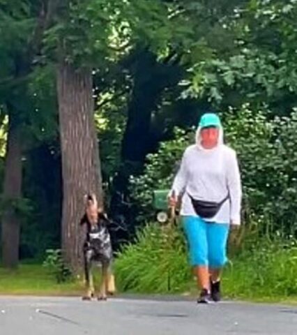 Un cane che ulula dalla gioia: lo avete mai visto? (VIDEO)