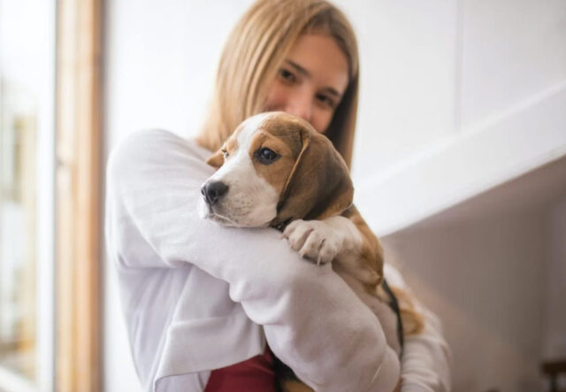 prodotti per la cura del cane san beagle amato