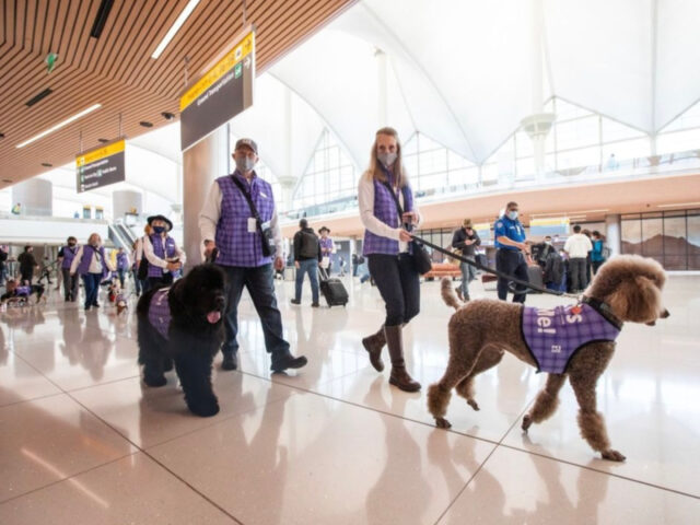 Aeroporto stabilisce il record per avere il più grande programma Pet Therapy