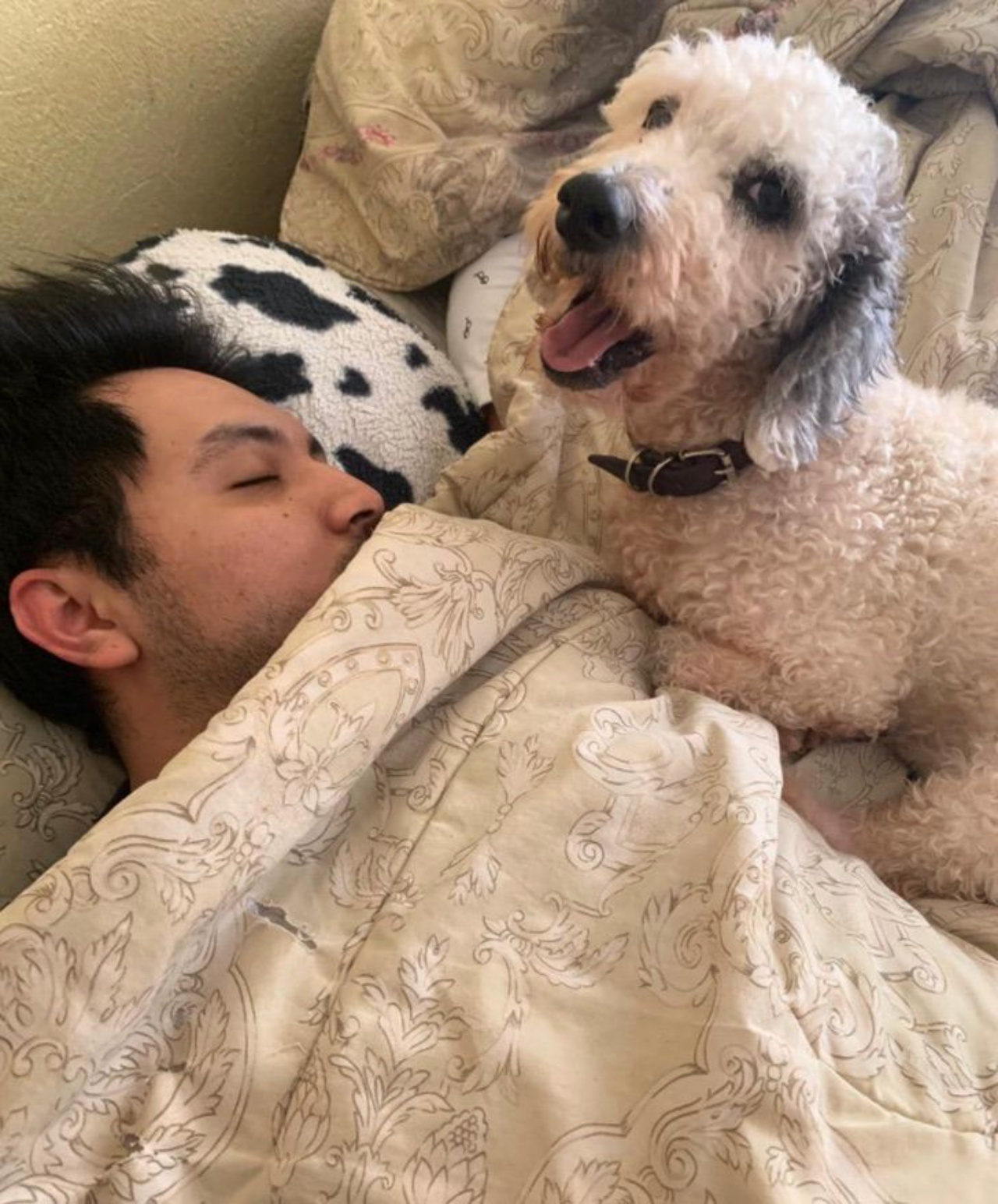 uomo e cane nel letto