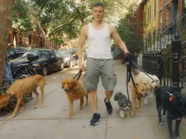 Uomo guadagna moltissimi soldi portando in giro i cani a New York