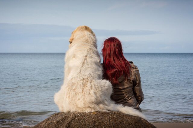 Uomo racconta che la sua fidanzata è più attenta al suo cane che a lui