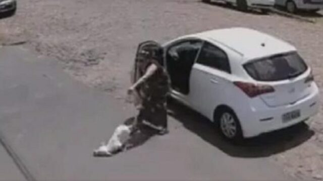 Cane disabile abbandonato da una donna: le telecamere di sicurezza riprendono il gesto crudele