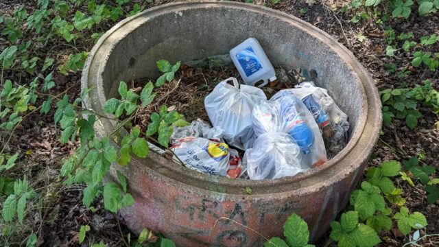 Cucciolo buttato in un sacchetto di plastica salvato da un passante che assiste alla scena