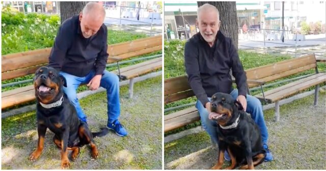 Rottweiler consola l'anziano signore