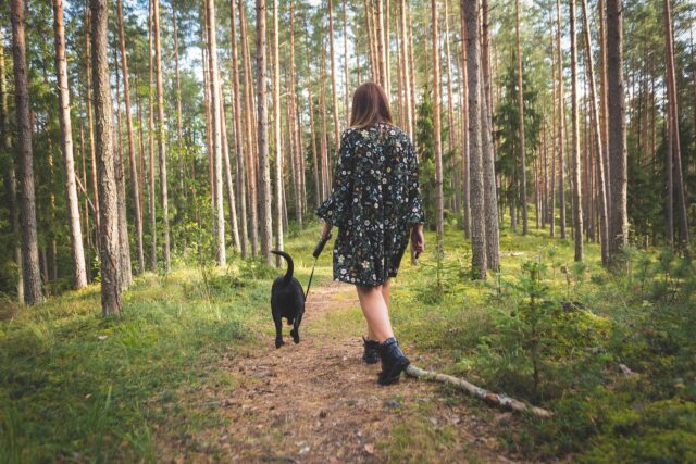 Donna litiga con suo marito per chi deve portare a spasso il cane: il post Reddit