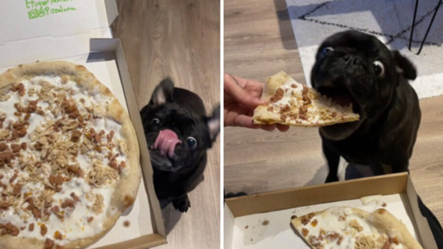 Carlino ama la sua pizza