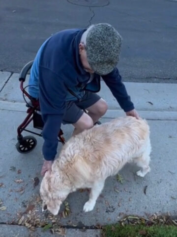 Ogni mattina, questo cane anziano aspetta di salutare il suo amico durante la sua passeggiata