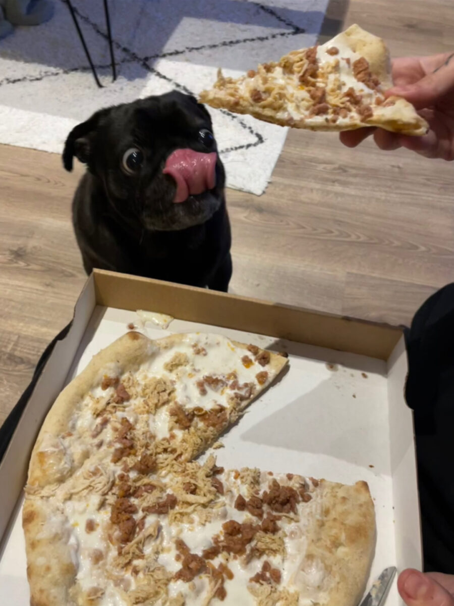 Carlino ama la pizza del ristorante
