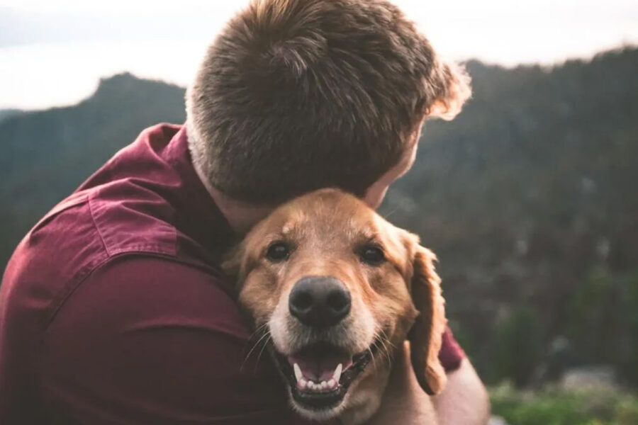 Cani con indole per persone autistiche